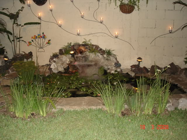 Estanque y jardín en remodelación