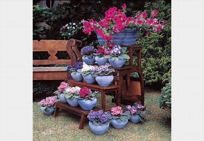 0%252C%252C53099289-EXH%252C00.jpg