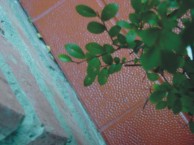 00-hoja2.jpg