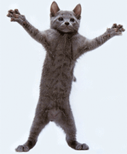 0002039E.gif