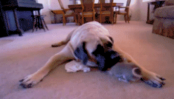 00025.gif