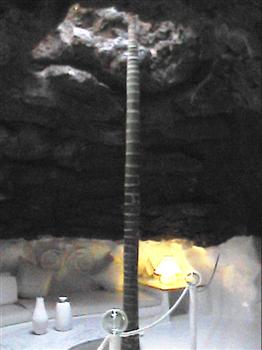 00043346.jpg