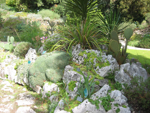 0008A-101-0119_IMG.jpg