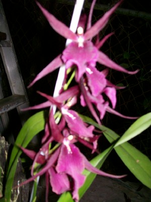 000_0004.jpg