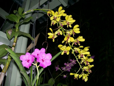 000_0005.jpg