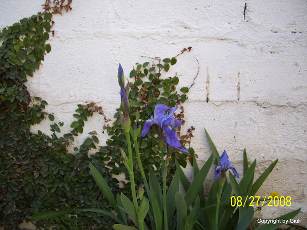 000_0018.jpg