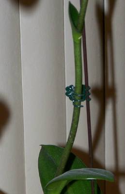 000_0100.jpg
