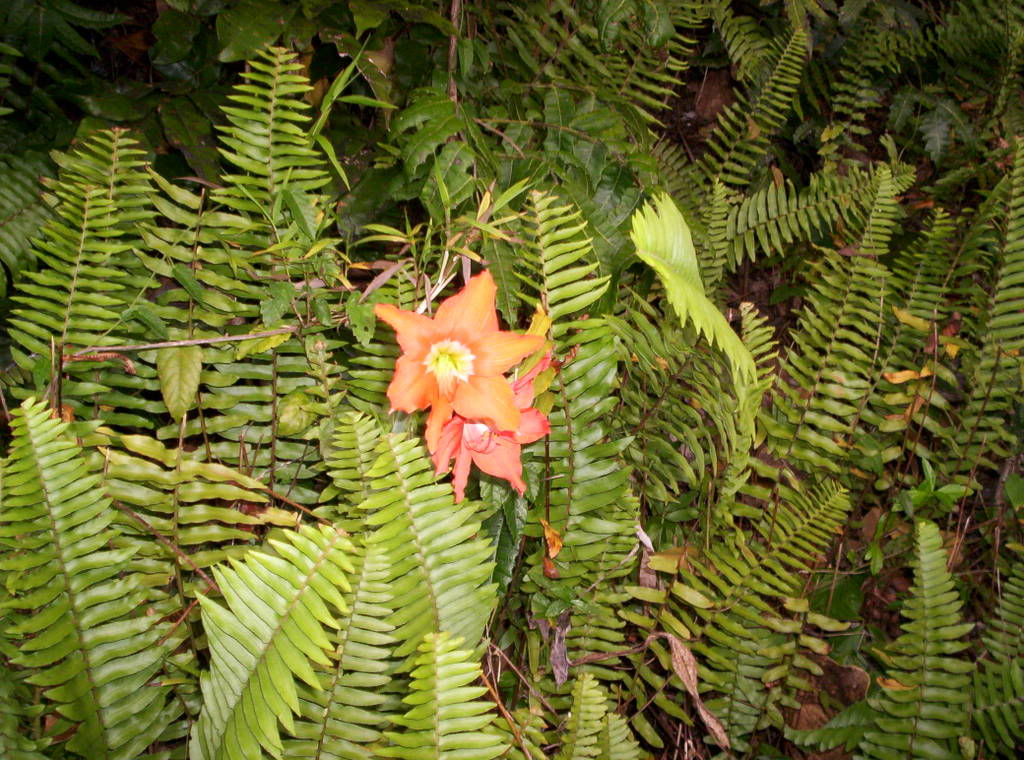 000_0155.jpg