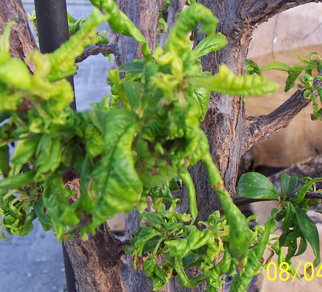 000_0211_edited.JPG