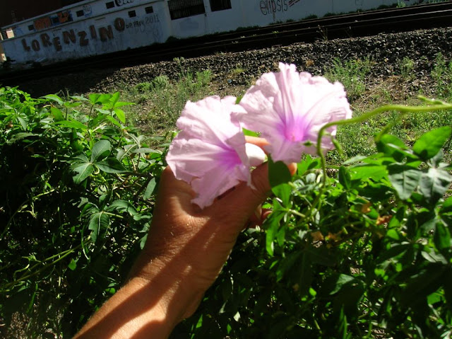 001.JPG