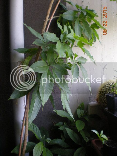 001_zps7vsp9vnp.jpg