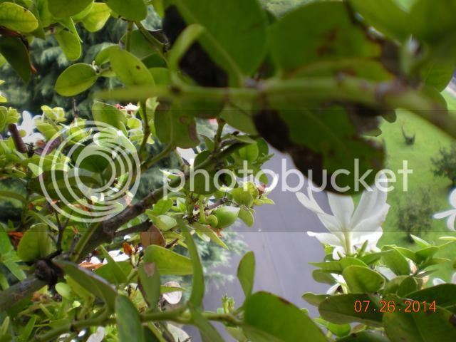 002_zps725e4e76.jpg