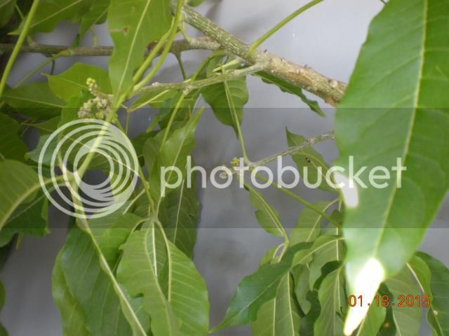 003_zps37804699.jpg