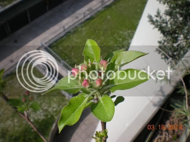 003_zps5ccee20e.jpg