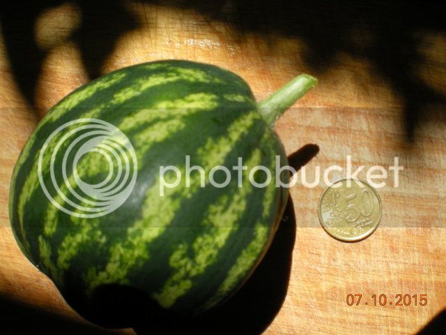 003_zpsb7rvercu.jpg