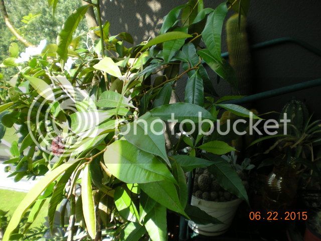 003_zpspouc957f.jpg