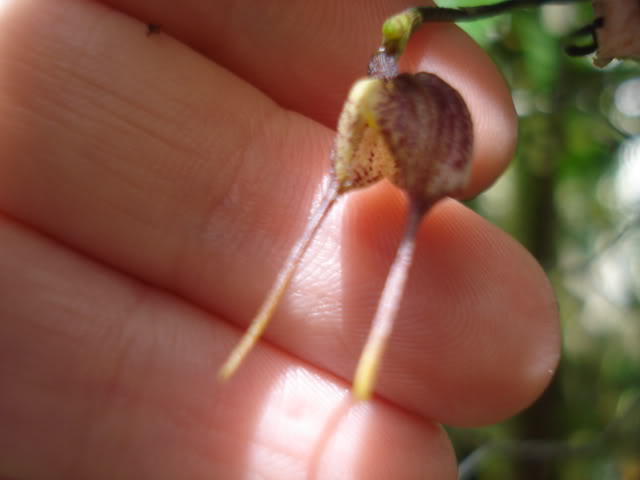 004-1.jpg