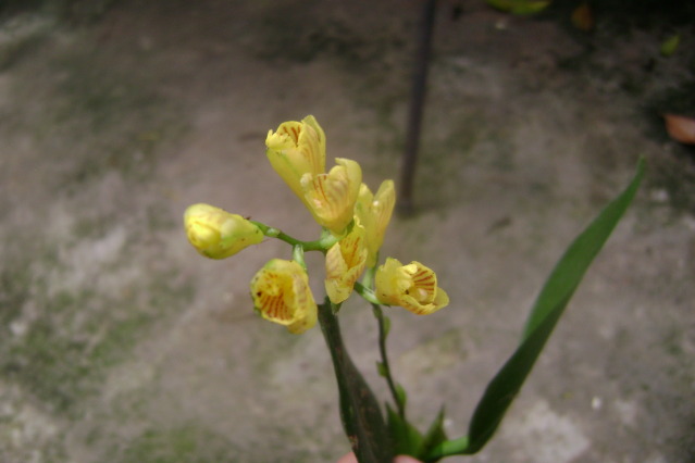 004-1.jpg