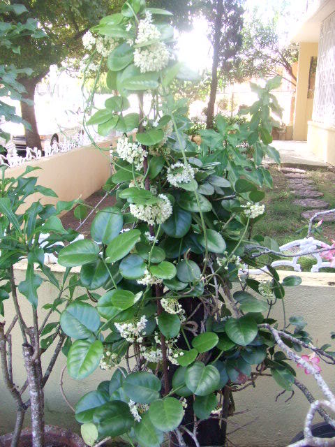 004-2.jpg