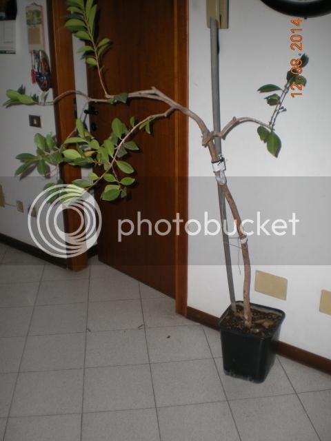 005_zps072b36d5.jpg