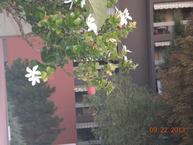 005_zps261c586d.jpg