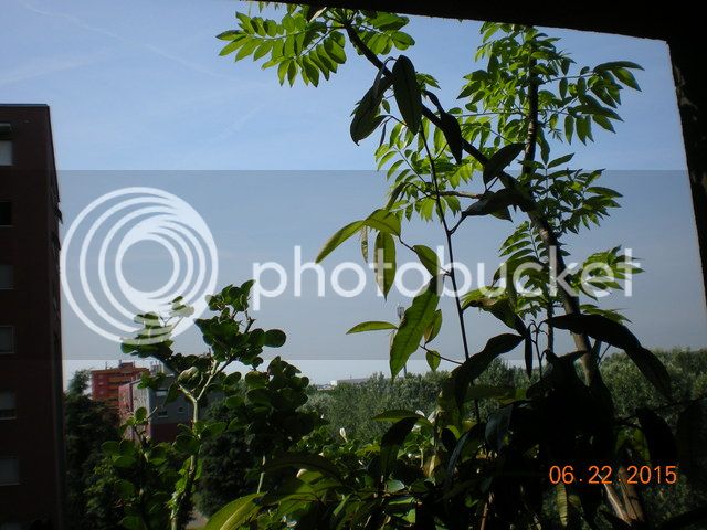005_zpsackqsldk.jpg