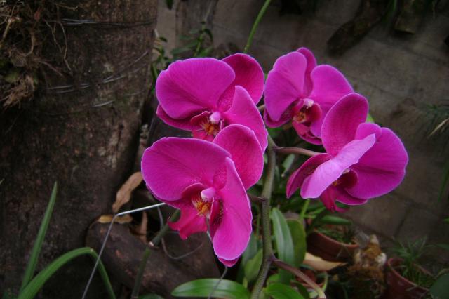 006-3_zpsc036964f.jpg