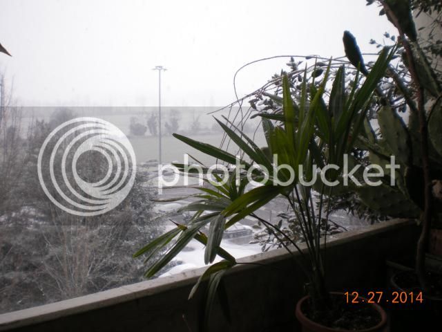 006_zps0d83e076.jpg