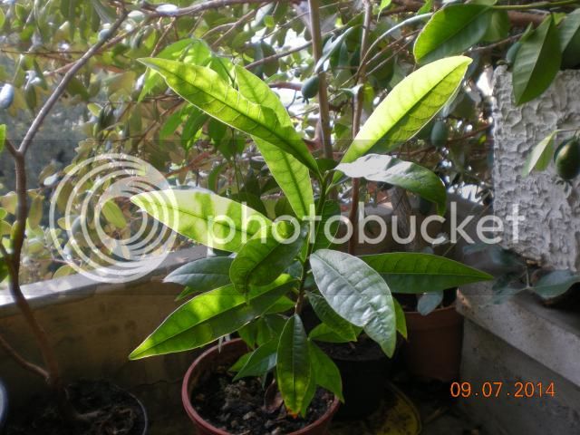 006_zps3599deb7.jpg