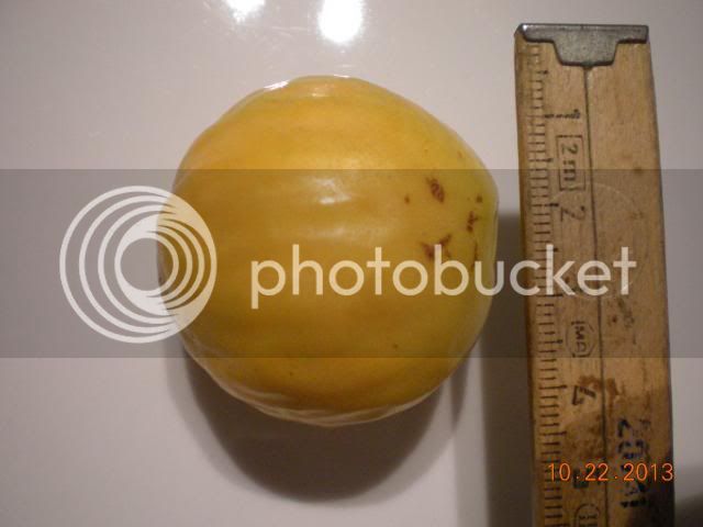 006_zps881ade7b.jpg