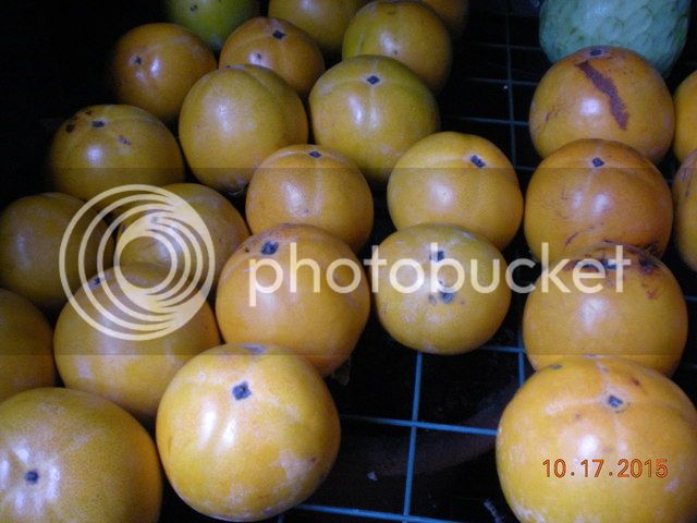 006_zpswqyechx3.jpg