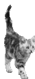 008.gif
