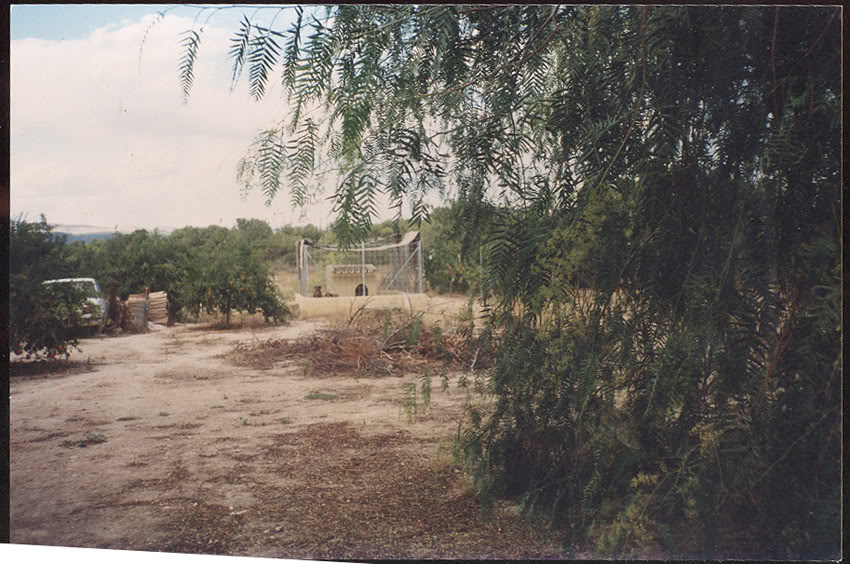 008.jpg