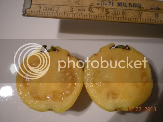 008_zps7b188880.jpg
