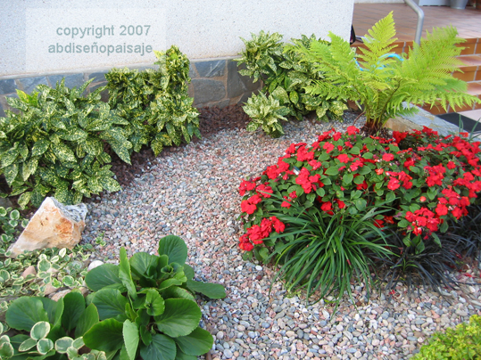 008IMG_00181.jpg