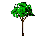 009.gif
