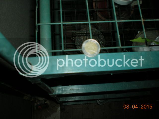 009_zpshv8i1yhd.jpg