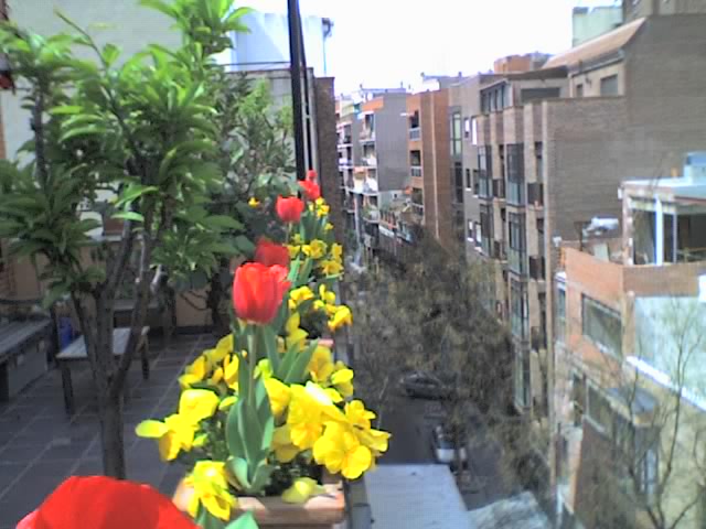 01-04-06_1408.jpg