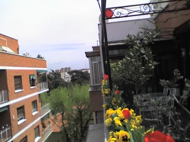 01-04-06_1409.jpg
