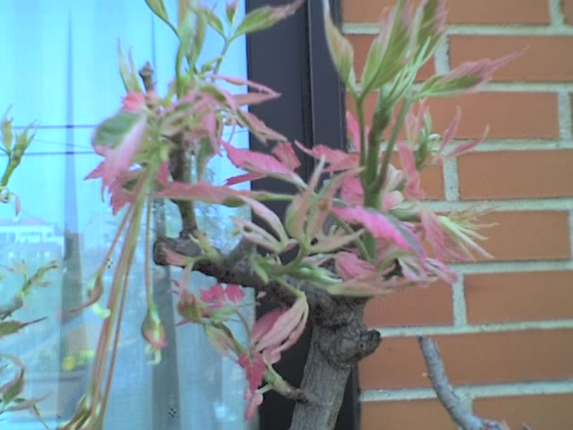 01-04-06_1411.jpg