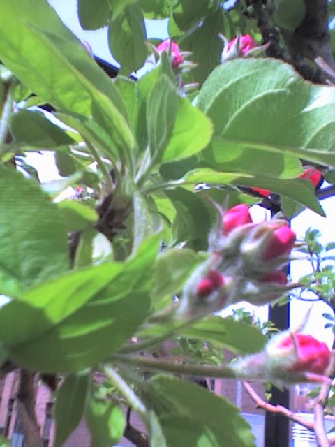 01-04-06_1412.jpg