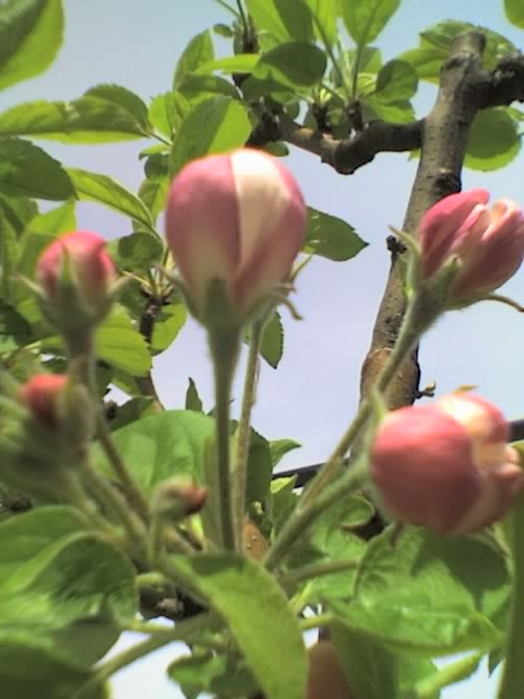 01-04-06_1413.jpg
