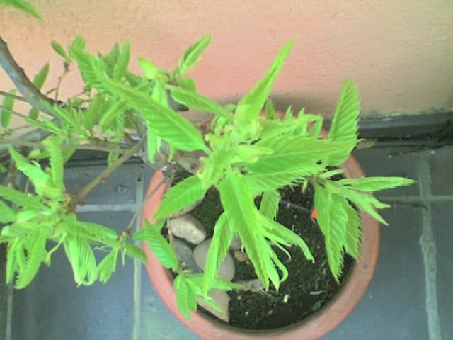 01-04-06_1414.jpg