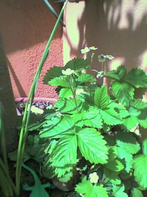01-04-06_1415.jpg