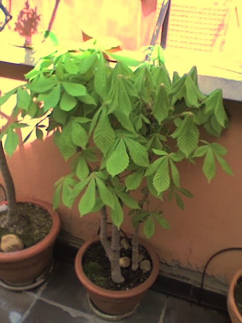 01-04-06_1416.jpg