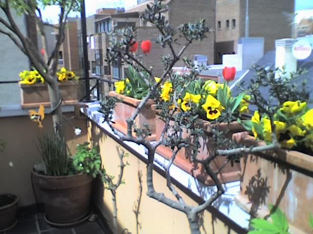 01-04-06_1417.jpg