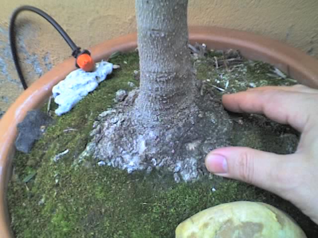 01-04-06_1418.jpg