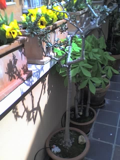 01-04-06_1419.jpg
