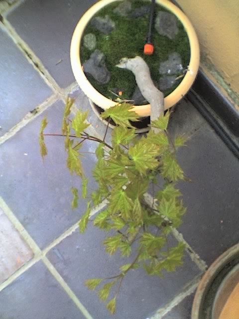 01-04-06_1423.jpg