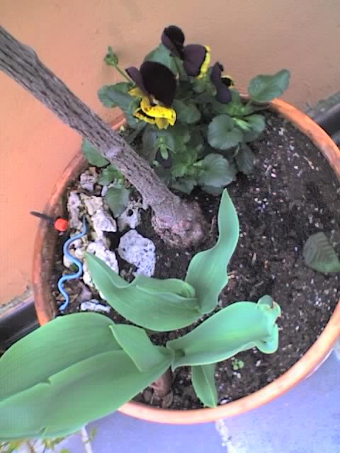 01-04-06_1425.jpg